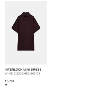 Zara Wine Mini Dress